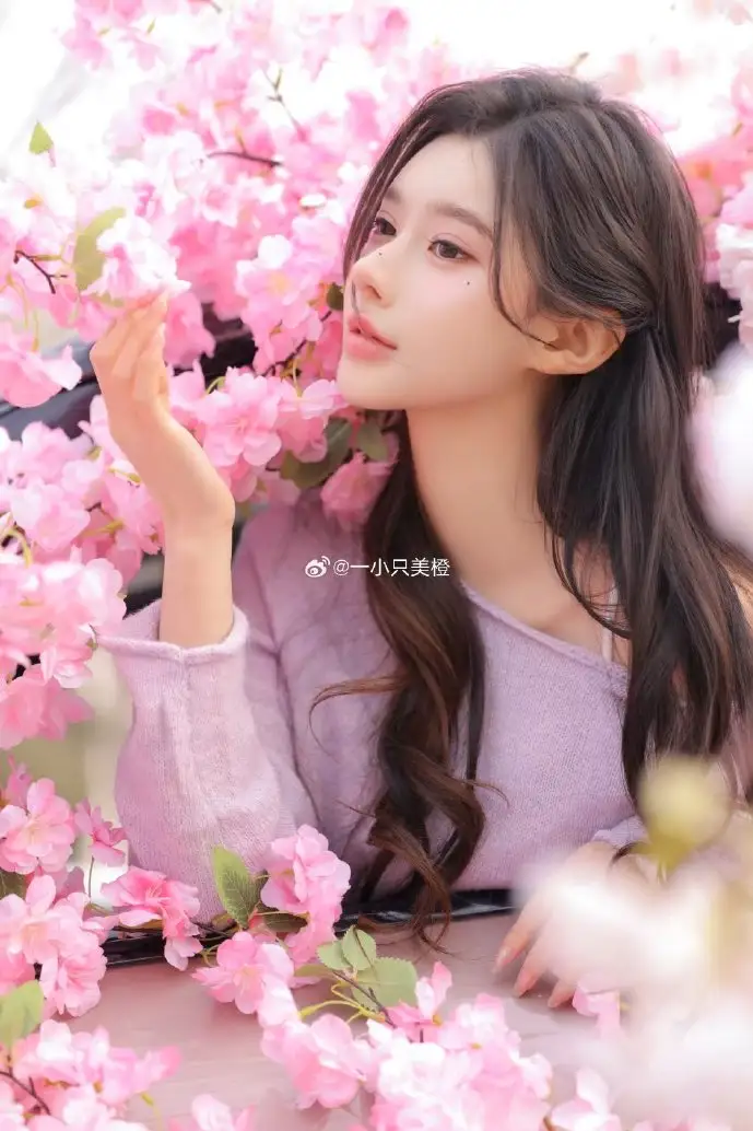 大军师下载游戏截图